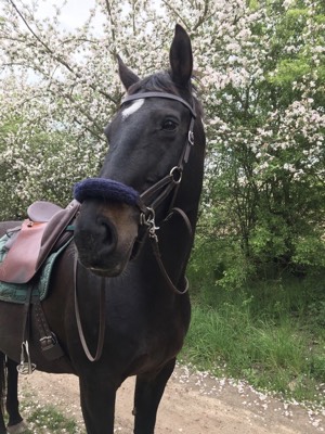 Frühling